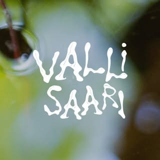 Vallisaari